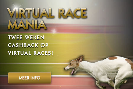 Virtual Race Mania Golden Palace