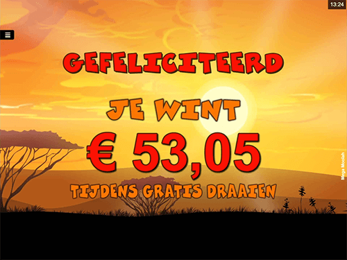 Mega Moolah Winst