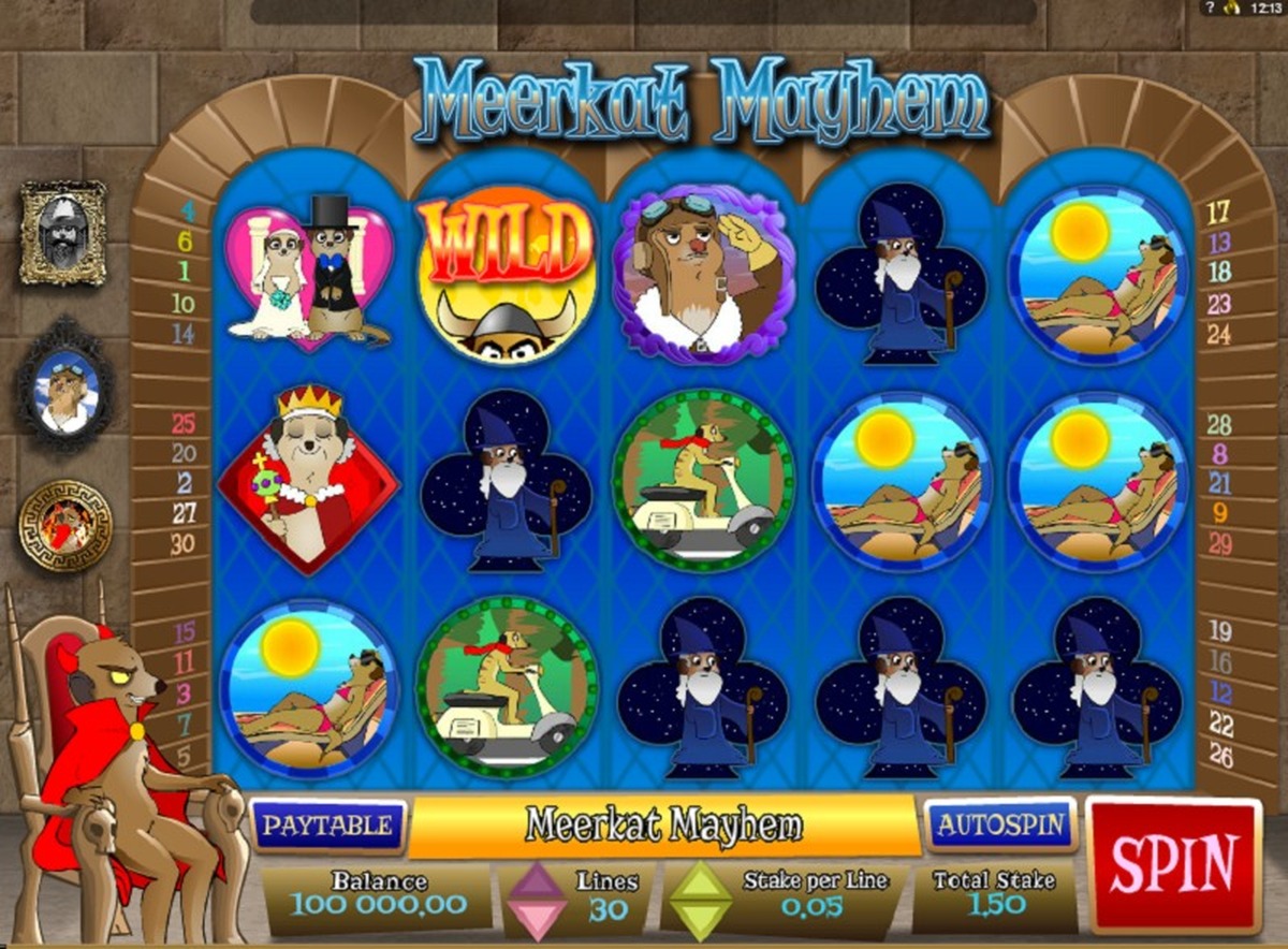 Meerkat Mayhem - screenshot