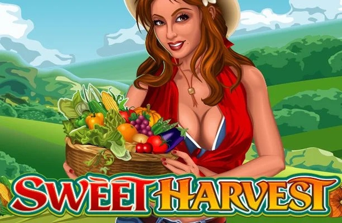 Sweet Harvest Slot - screenshot
