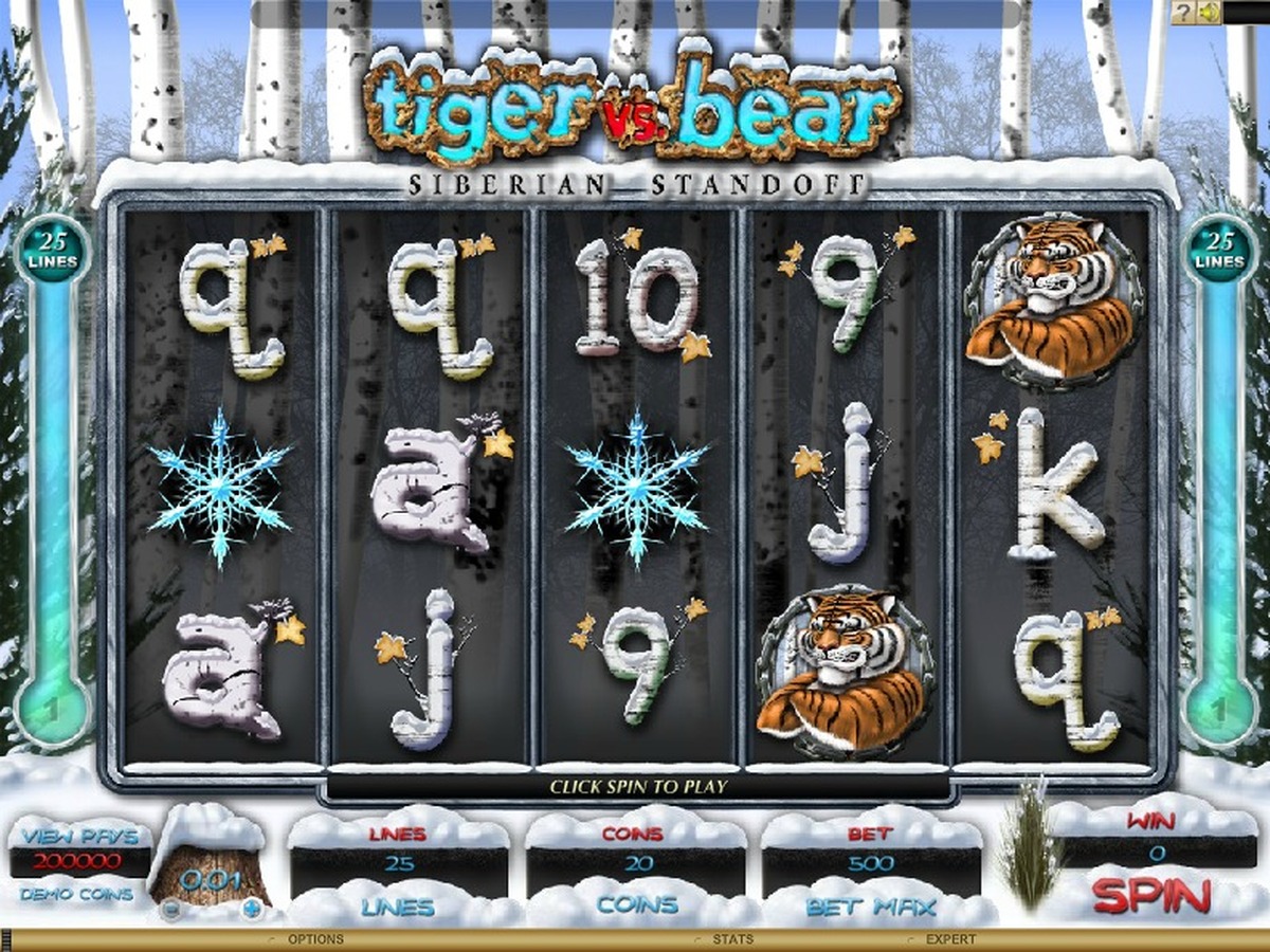 Tiger vs. Bear Slot - screenshot
