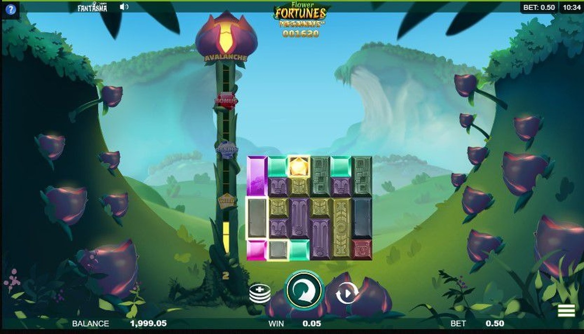 Flower Fortunes - screenshot