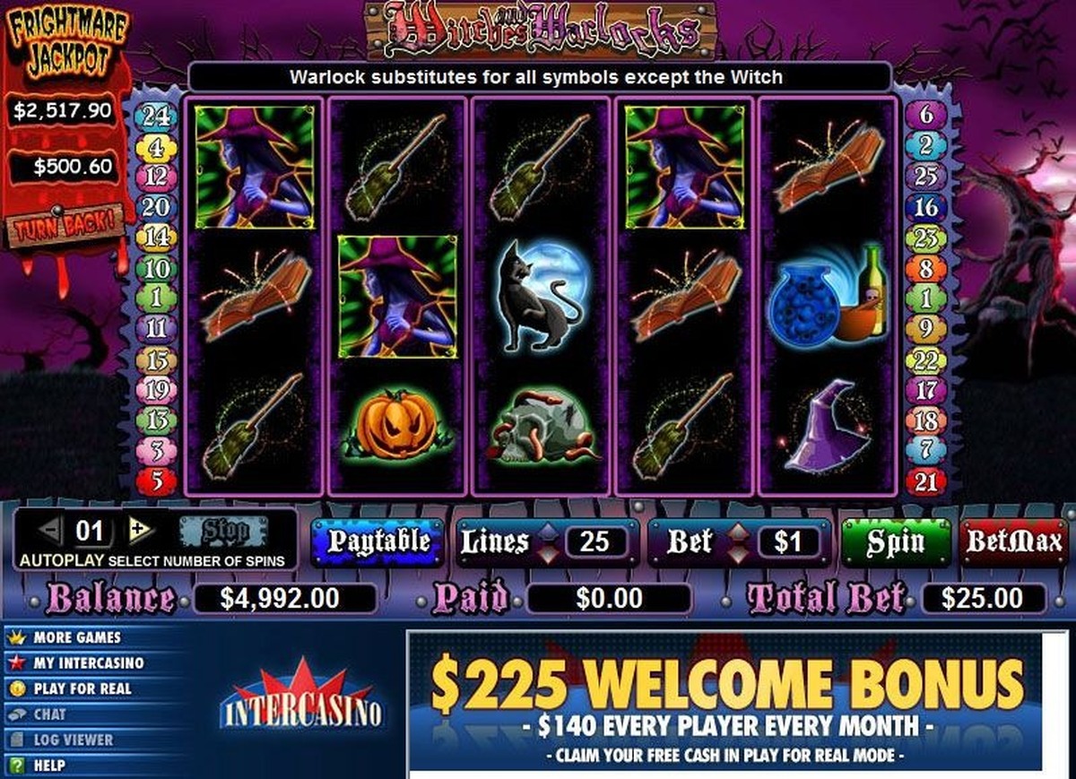 Witches and Warlocks - screenshot