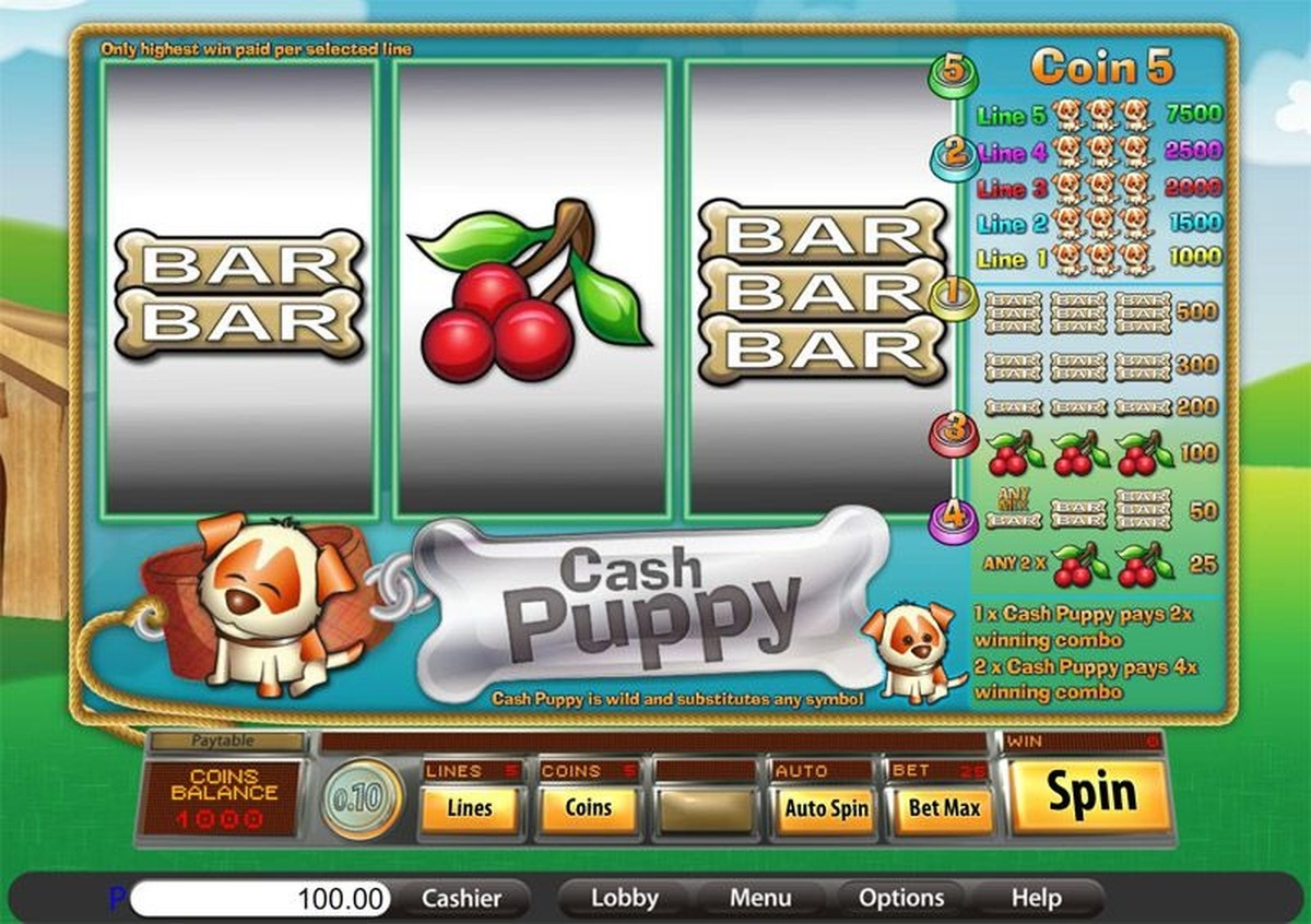 Cash Puppy - screenshot