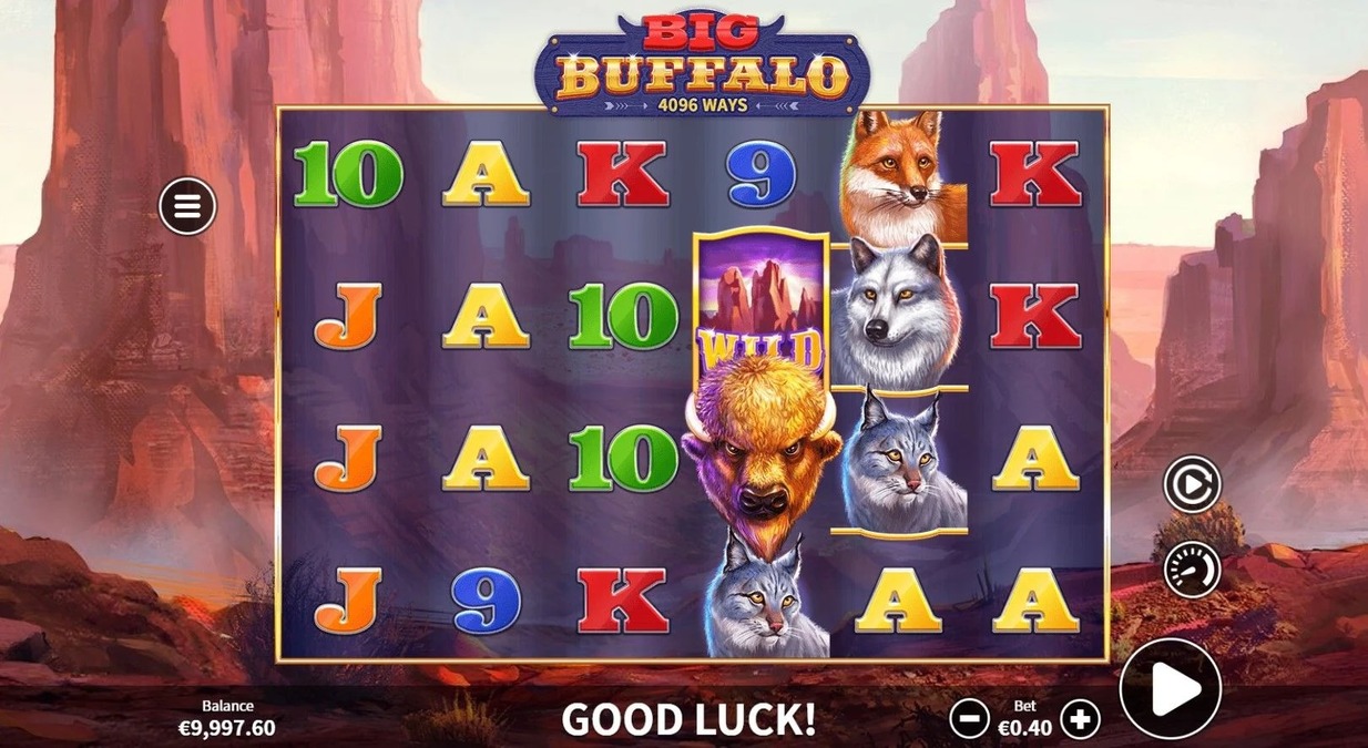 Big Buffalo - screenshot