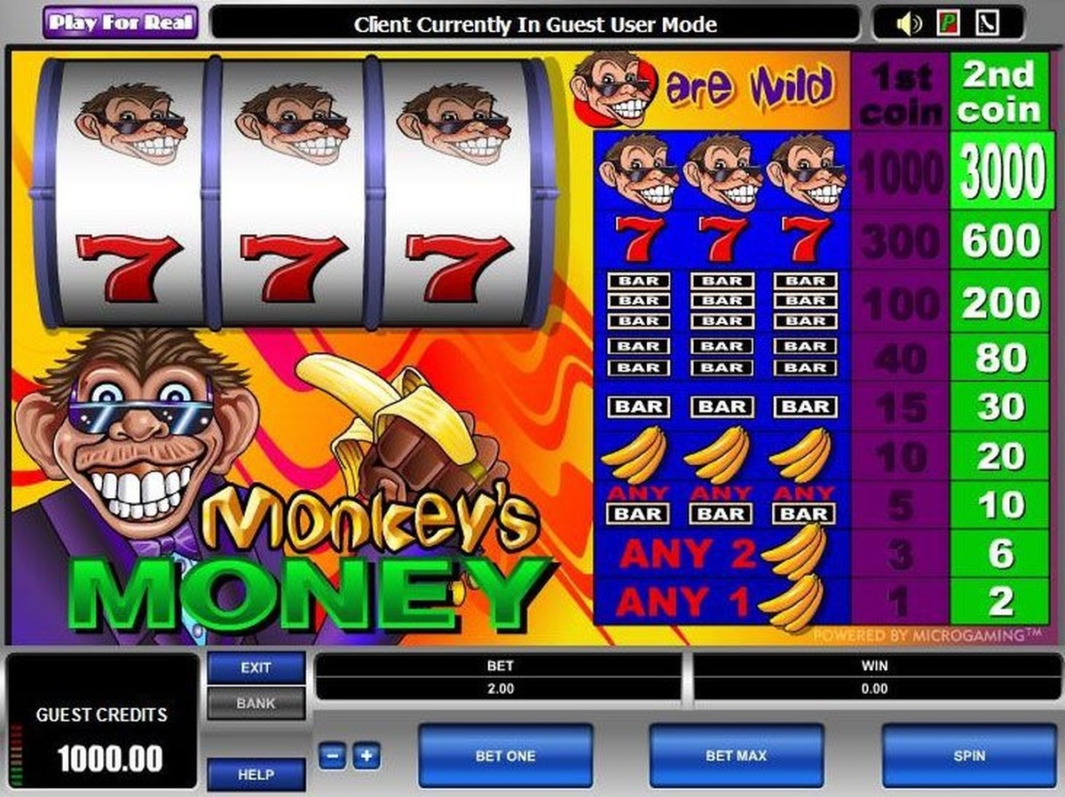 Monkey's Money - screenshot