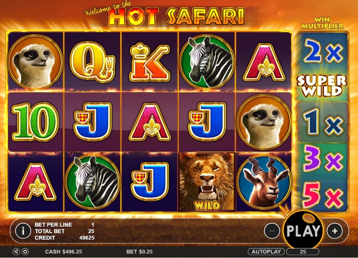 Hot Safari Slot - screenshot