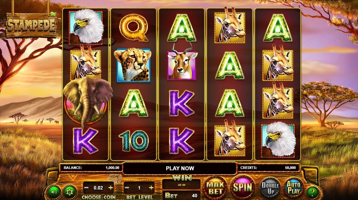 Stampede Slot - screenshot