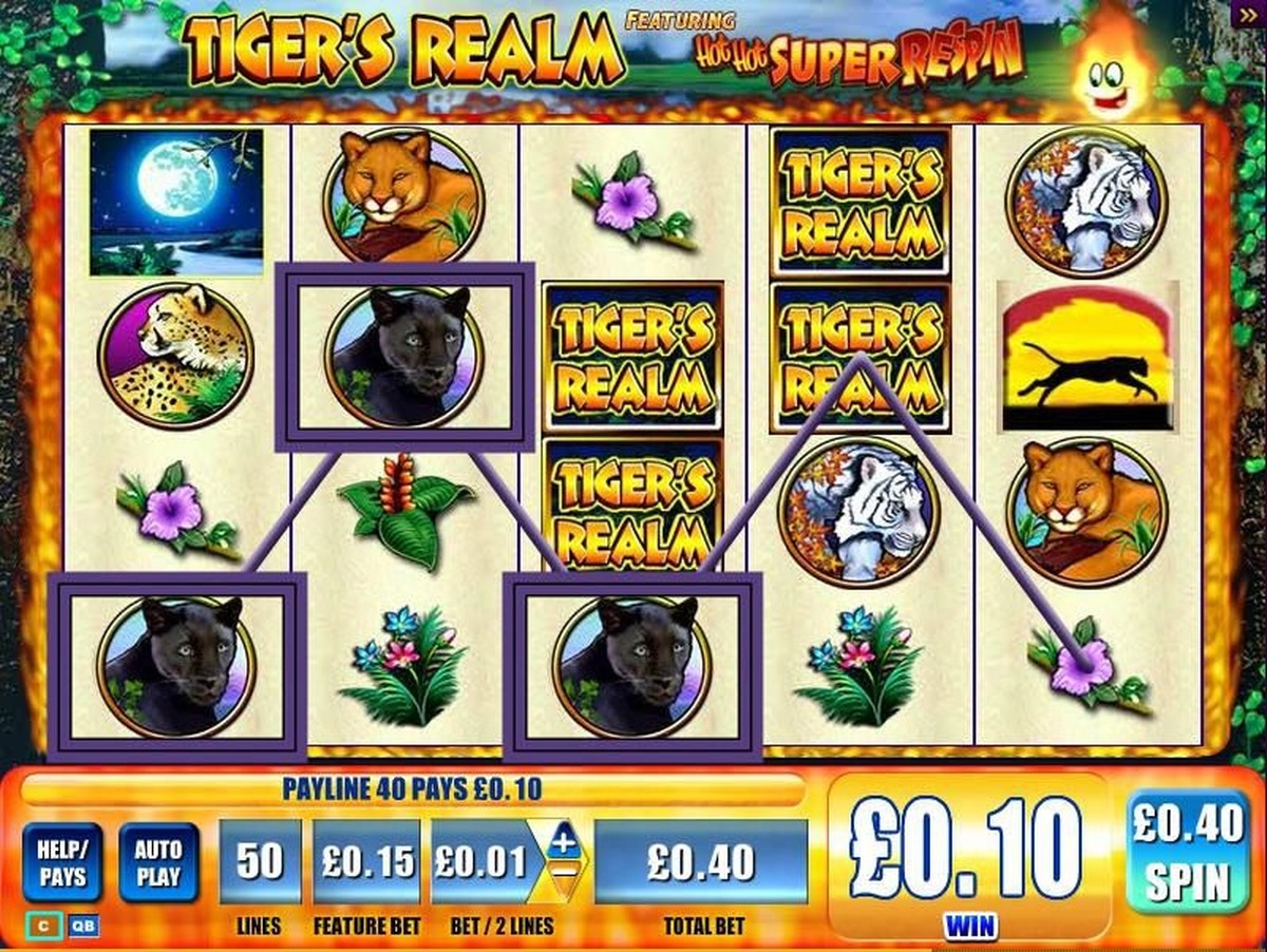 Tiger's Realm - screenshot