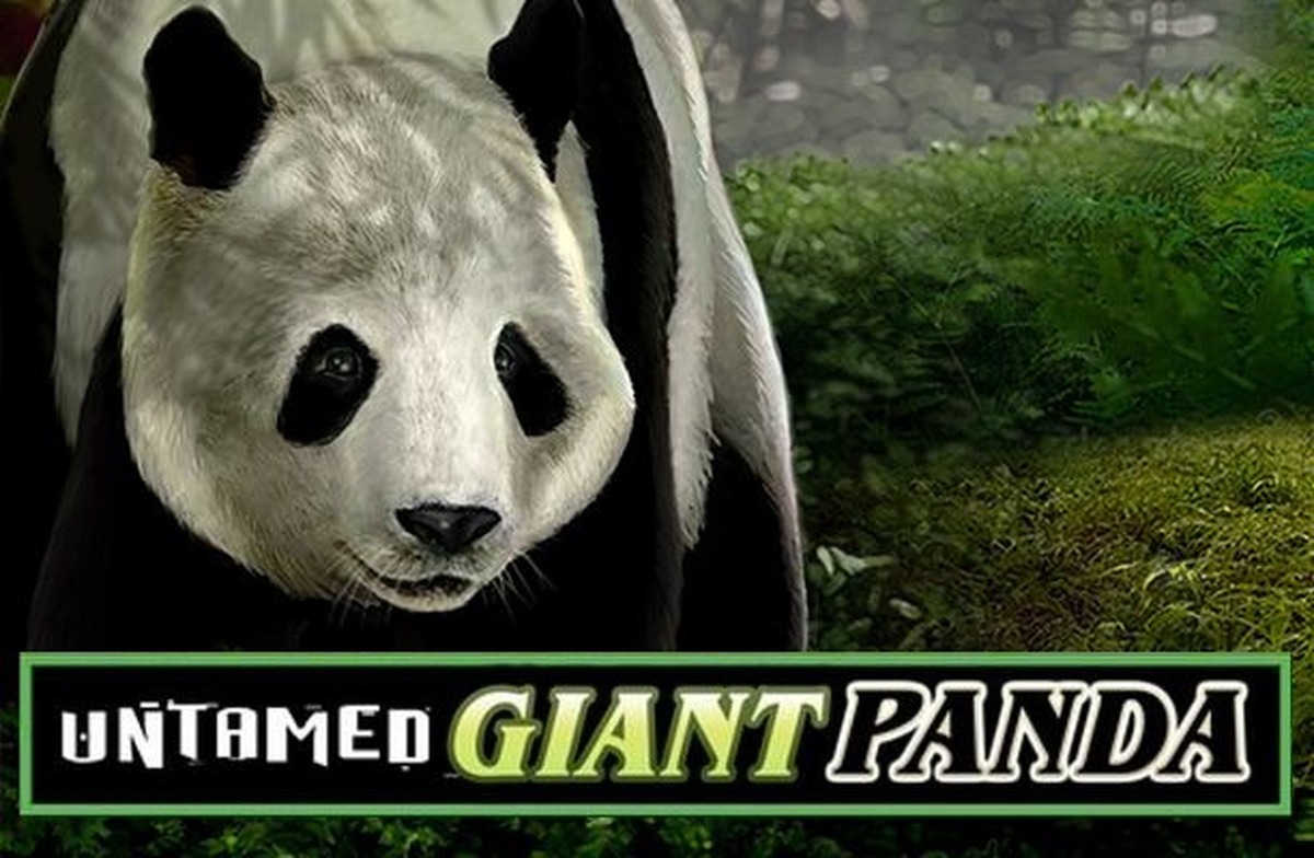 Untamed Giant Panda Slot - screenshot
